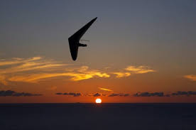 Image result for hang gliding