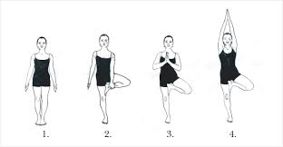 Resultado de imagem para vrksasana