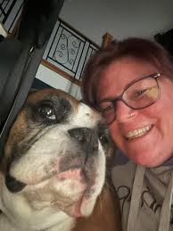 Overcoming travel issues with rescue dogs in caravanning