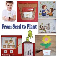 Plant trees in the backyard. From Seed To Plant Activities Kidssoup
