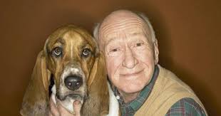 The Best Dogs for Men