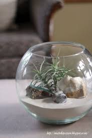 Easy Beach Lovers Terrarium Glass Fish Bowl Terrarium Vintage Containers