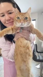 Day 21: Soaking in the Seattle sun. 🌞