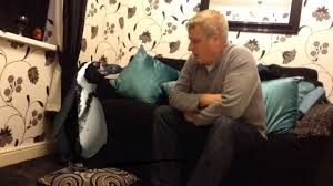 The pool of water can be fresh water but salt water is preferred maintenance alone is very expensive. My Pet Penguin Youtube