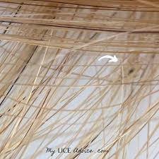 Dealing With Head Lice Can Be Difficult For Anyone But It Can Be Especially Difficult For Those With Blonde Hair Whether You A In 2020 Lice Eggs Head Louse Hair Lice