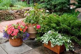 This large indoor set of. The Best Flower Pot Arrangements A Guide To Striking Designs With Plants And Planters Planters Etc