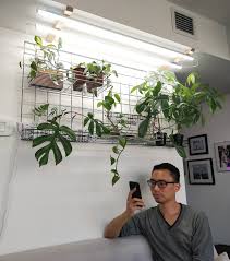 Apr 15, 2016 · like the advanced platinum grow lights, galaxyhydro is also a relatively new brand. Grow Lights Part 1 A Few Grow Lights I Ve Used House Plant Journal