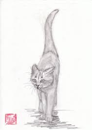 Search more hd transparent cat meme image on kindpng. Cybergata Cats Memes New Mexico Cats Illustration Cat Art Cat Painting
