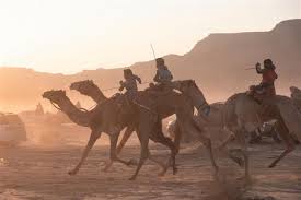 They stop or sit down. In Pictures Egypt S Epic Zalaga Camel Race Middle East Eye
