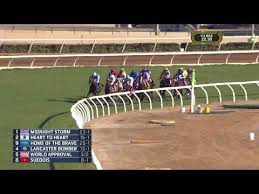 2017 Breeders Cup Mile World Approval Youtube