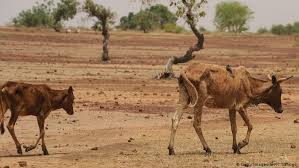 Formerly called the republic of upper volta, it was renamed on august 4, 1984 to mean the land of. Burkina Faso Islamistische Gefahr Aus Dem Innern Afrika Dw 20 10 2017