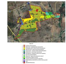 Image result for Thesium multiramulosum