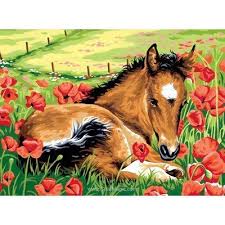 Canevas Le Poulain Dans Le Champ De Coquelicots De Margot Peinture De Cheval Painted Horses Cheveaux Dessin