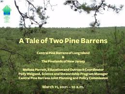 A Tale of Two Pine Barrens: Polly Weigand & Melissa Parrott, Central Pine  Barrens