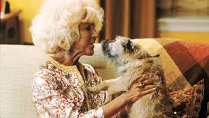 We did not find results for: Lin Shaye S Career Isn T Just Scary Stuff
