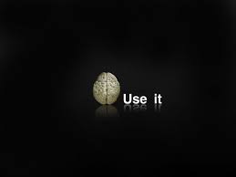 Little Misc Y Funny Wallpaper Funny Wallpapers All Hd Wallpaper