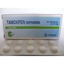 tamoxifen body building ile ilgili görsel sonucu