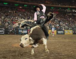 Charging bull, sometimes referred to as the bull of wall street or the bowling green bull, is a bronze sculpture that stands on broadway just north of bowling green in the financial district of manhattan in new york city. Professional Bull Riders At Madison Square Garden 2018 Vogue