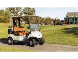 Image result for Yellow 2025 Fleet