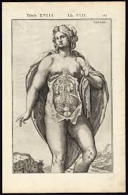 We did not find results for: 2 Anatomical Prints Abdominal Cavity Womb Bladder Woman Spigelius Casserius 1645 Kunst Nbsp Nbsp Grafik Nbsp Nbsp Poster Theprintscollector