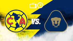 Se espera a tu camino de vida una racha de abundancia y de muy buena fortuna. Ø¬ÙŠØ¯ Ø­ØµØ§Ù† Ø·Ø±ÙˆØ§Ø¯Ø© Ù†Ù‚Ø§Ø¨Ø© En Vivo Pumas Vs America Hoy Cabuildingbridges Org