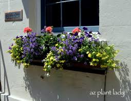 With so many charleston houses built right up the the sidewalk edge, window boxes often act as a decorative front yard. Window Box Planters Of Charleston Sc Birds And Blooms