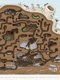 The Little 5 Ant Hill Fine Art Print Etsy Ant Art Ant Hill Art Fine Art Prints