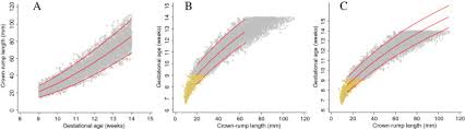 Crown Rump Length Measurements In Relation To Gestational