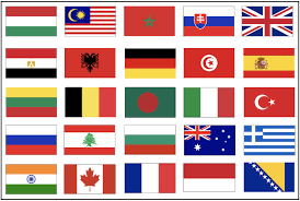 نتیجه جستجوی لغت [country] در گوگل