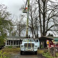 SIMONSON TREE SERVICE