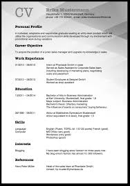 Berufliche zielsetzung im cv : Lebenslauf Auf Englisch Vorlage Tipps Fur Resume Und Cv
