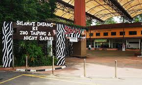 Harga tiket masuk zoo taiping & night safari. Malaysiakini Zoo Taiping Night Safari Dijangka Rugi Lebih Rm500 000