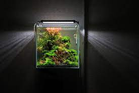 Another step by step tutorial on aquascaping for beginners and on how to set up a nano aquascape with some nice hardscape. Nano Aquarium Aquascaping Wiki Aquasabi