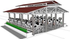 Desain kandang kambing modern 2020, desain kandang kambing minimalis terbaru part 1.untuk yang mau request desain rumah atau bangunan lainnya silahkan tulisk. Managemen Kandang Sapi Yang Tepat Ternak Sehat Fkh Ugm Ac Id