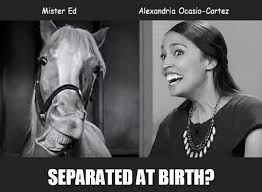 [Image: images?q=tbn:ANd9GcR57GUHY9qm8Sh5Ct9Fnhq...Gx1z73yvsT]