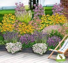 Garten schlüter gilt noch heute als absoluter rosenspezialist, aber begann bereits seit ende der 20er jahre sein sortiment um erdbeerpflanzen der onlineshop punktet nach dem motto „ideen für schöne gärten mit einem riesigen sortiment an azaleen, rosen. Die 22 Besten Ideen Zu Garten Schluter In 2021 Garten Garten Schluter Pflanzen