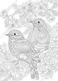 Supercoloring.com is a super fun for all ages: Coloring Pages For Adults Lovely Birds Couple Spring Etsy Bird Coloring Pages Animal Coloring Pages Animal Coloring Books