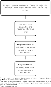 The Association Of Disability And Pain With Individual And