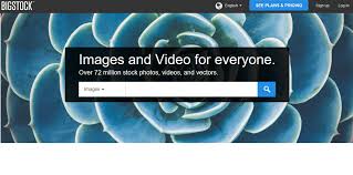 You can use all images for free, even for commercial use. The 20 Best Sites For Royalty Free Images In 2021 Wyzowl