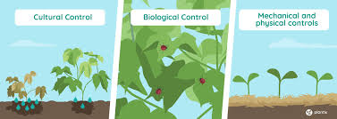 Mechanical pest control strategy incorporates the utilization of gear just as gadgets to take care of business. Ipm How To Create Unfavourable Conditions For Plant Pests