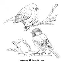 Hand Drawn Simple Bird On Branch Drawing Bird Retro Hand Drawn Free Vector Bird Drawings How To Draw Hands Free Hand Drawing
