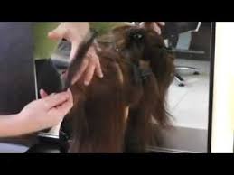 An actual haircut, where you may be changing the style will take longer, depending how much hair is needing to be cut off, says xydis. Quick Way To Learn How To Cut Hair In Weeks 1st Lesson Youtube