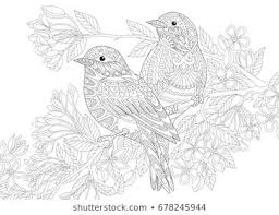 Here you will find the coloring pages of zentagle art. Pin On Zentagle