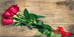 تفسير رؤية الورد الأحمر في المنام لابن سيرين موسوعة طيوف Plants