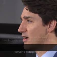 @erinotoole's video Tweet