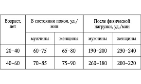 O Chem Mozhet Soobshit Puls Cheloveka Pochemu On Raznyj U Muzhchin I Zhenshin Ia Sever Press