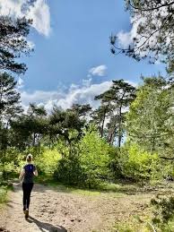 Gefilmd op 9/2/2021 met de mavic 2 zoomlaat een reactie of like achter! Leersumse Veld Trail Home Facebook