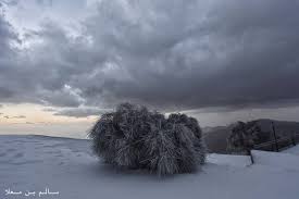 شبكة أجواء الامارات ثلوج جبل جيس مساء اليوم من الزميل سالم بن معلا photo outdoor snow