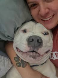 Love this mystery one of a nice dog 🐕!!