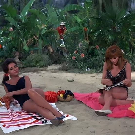 Gilligan's Island's charm masks delightfully absurd on-screen blunders,  five production mistakes so ridiculous they became part of the show's  legacy. Read More Below ⬇️